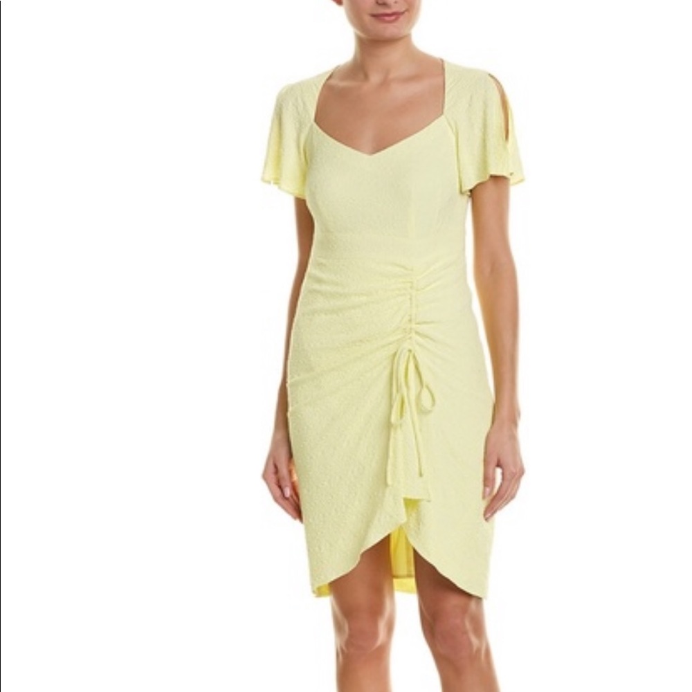 NWT Nanette Lepore Portrait Ruched Cutout Dress